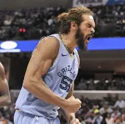 孟菲斯灰熊队图标